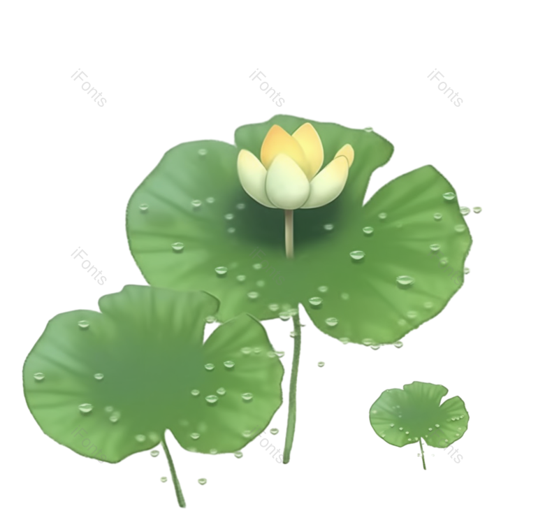 叶子图片,夏至元素,元素PNG,荷花免抠素材